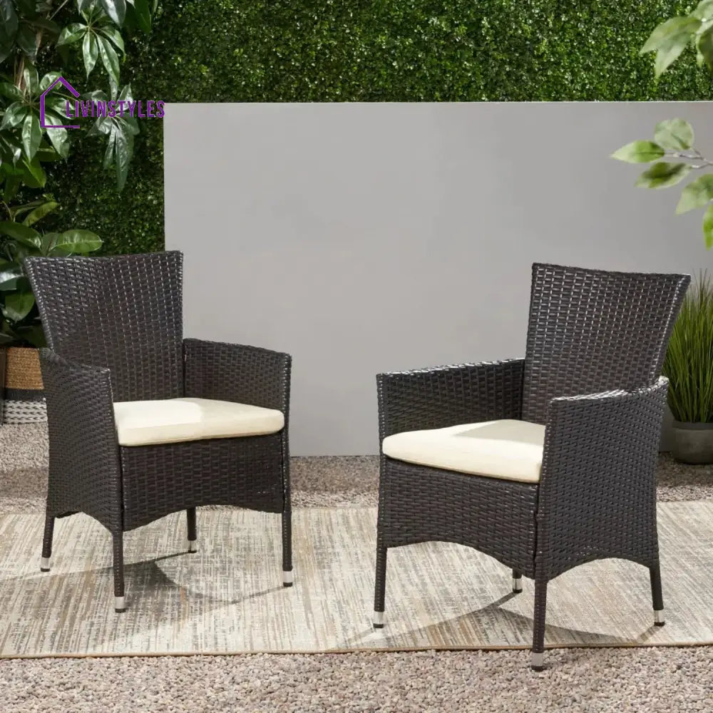 Hailey 2-Piece Outdoor Rattan Wicker Patio Dining Chairs - Dinning Chairs