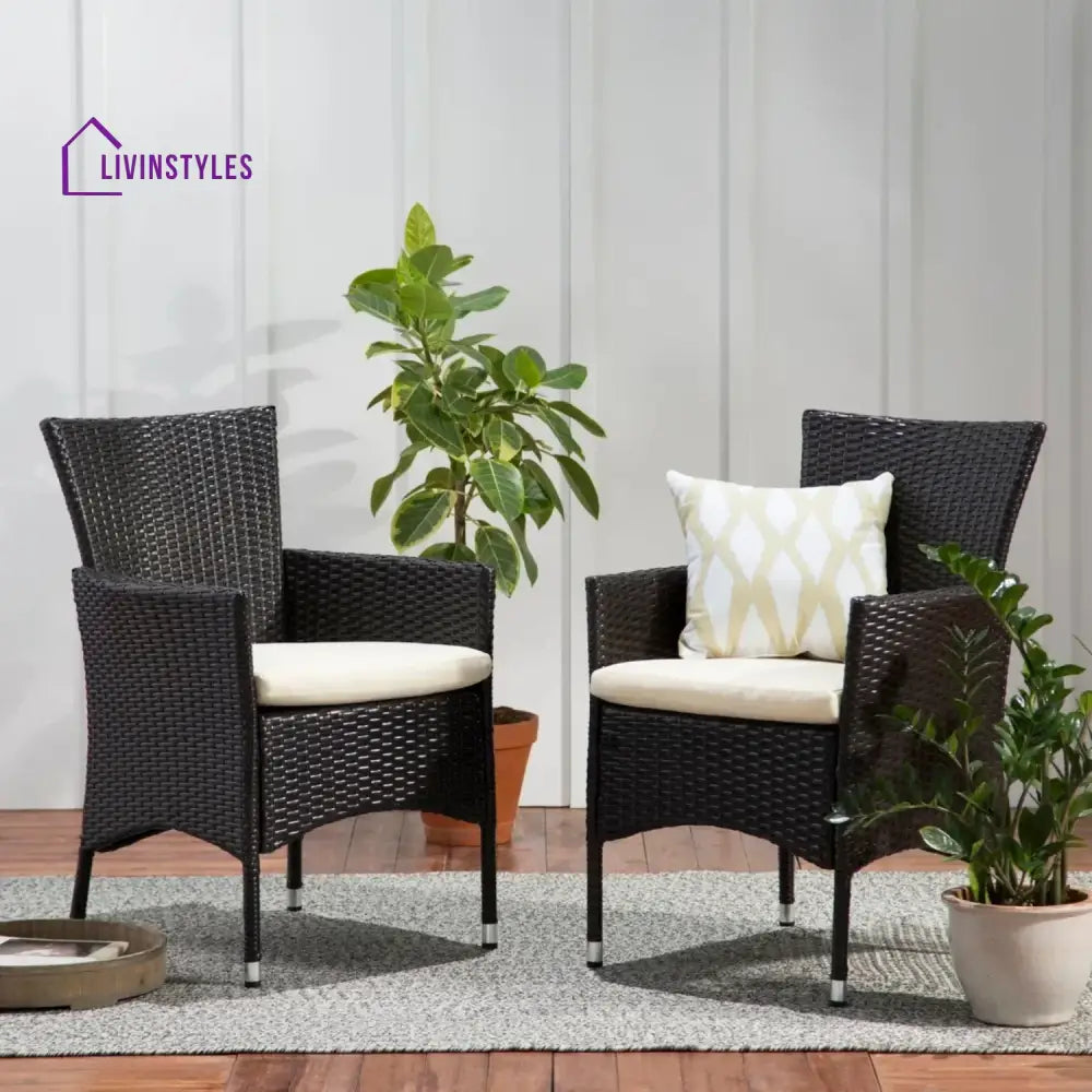 Hailey 2-Piece Outdoor Rattan Wicker Patio Dining Chairs - Dinning Chairs