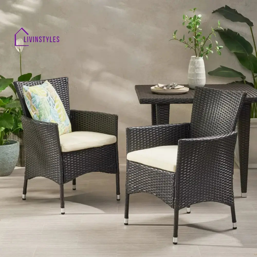 Hailey 2-Piece Outdoor Rattan Wicker Patio Dining Chairs - Dinning Chairs