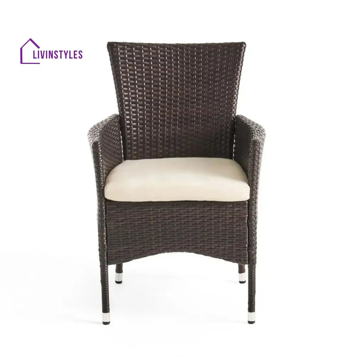 Hailey 2-Piece Outdoor Rattan Wicker Patio Dining Chairs - Dinning Chairs