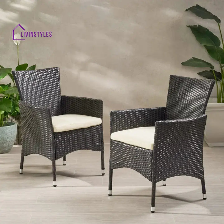 Hailey 2-Piece Outdoor Rattan Wicker Patio Dining Chairs - Dinning Chairs
