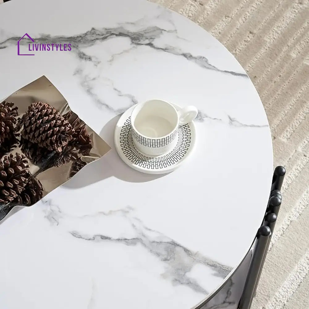 Harini Metal Black Coffee Table