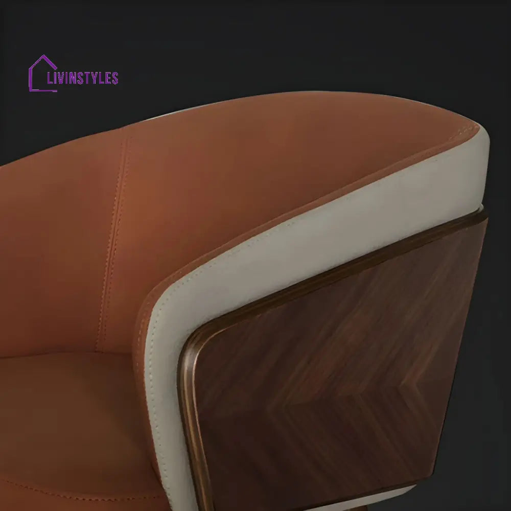 Harisha Wooden Dining Chair | Velvet Fabric | High Density Foam