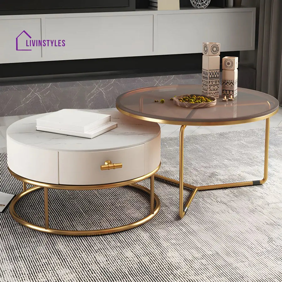 Hriday Stainless Steel Frame Coffee Table for Living Room