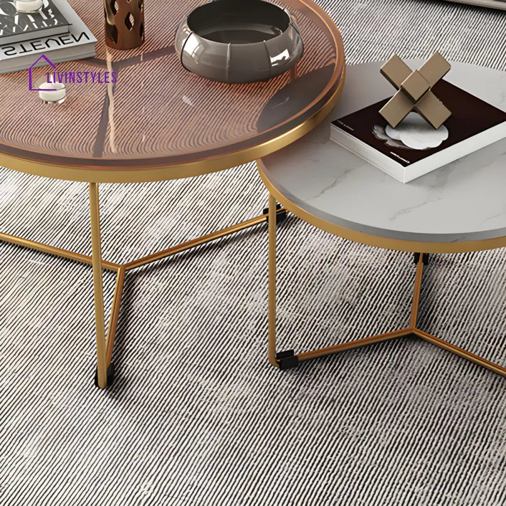 Hriday Stainless Steel Frame Coffee Table for Living Room