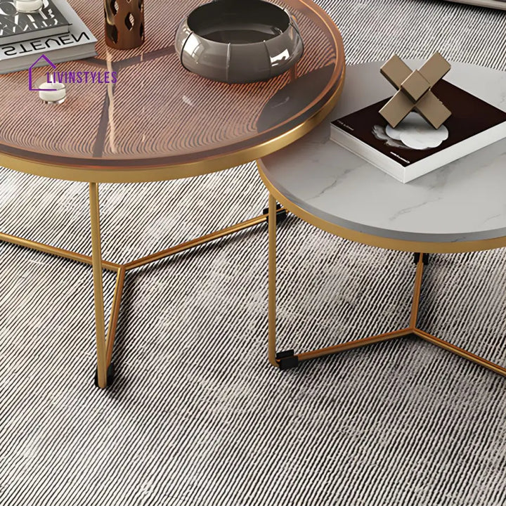 Hriday Stainless Steel Frame Coffee Table for Living Room