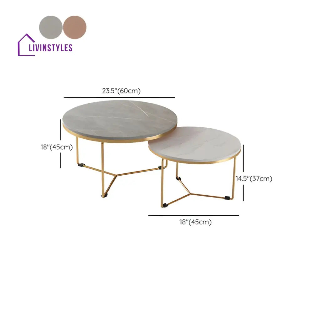 Hriday Stainless Steel Frame Coffee Table for Living Room