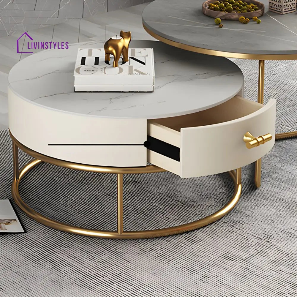 Hriday Stainless Steel Frame Coffee Table for Living Room