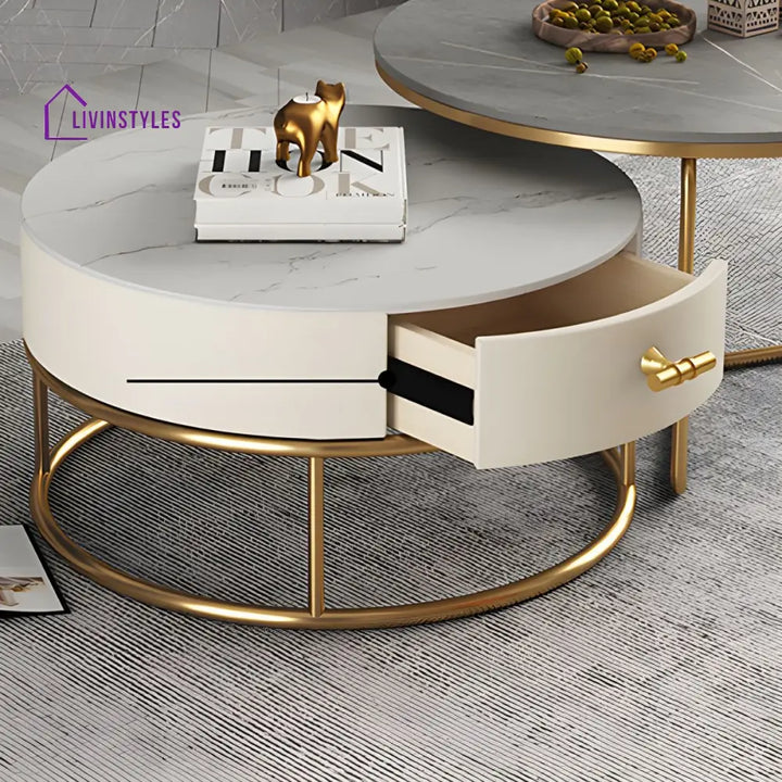 Hriday Stainless Steel Frame Coffee Table for Living Room