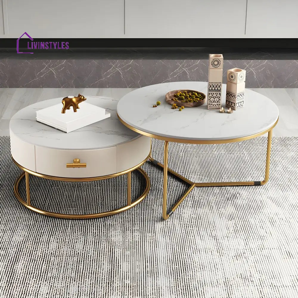 Hriday Stainless Steel Frame Coffee Table for Living Room