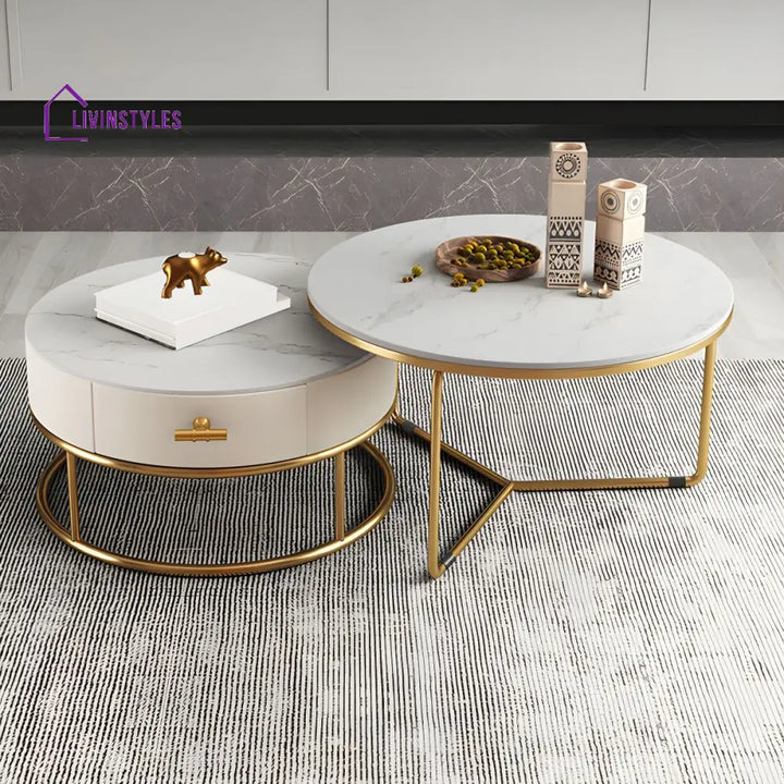 Hriday Stainless Steel Frame Coffee Table for Living Room