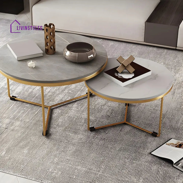 Hriday Stainless Steel Frame Coffee Table for Living Room