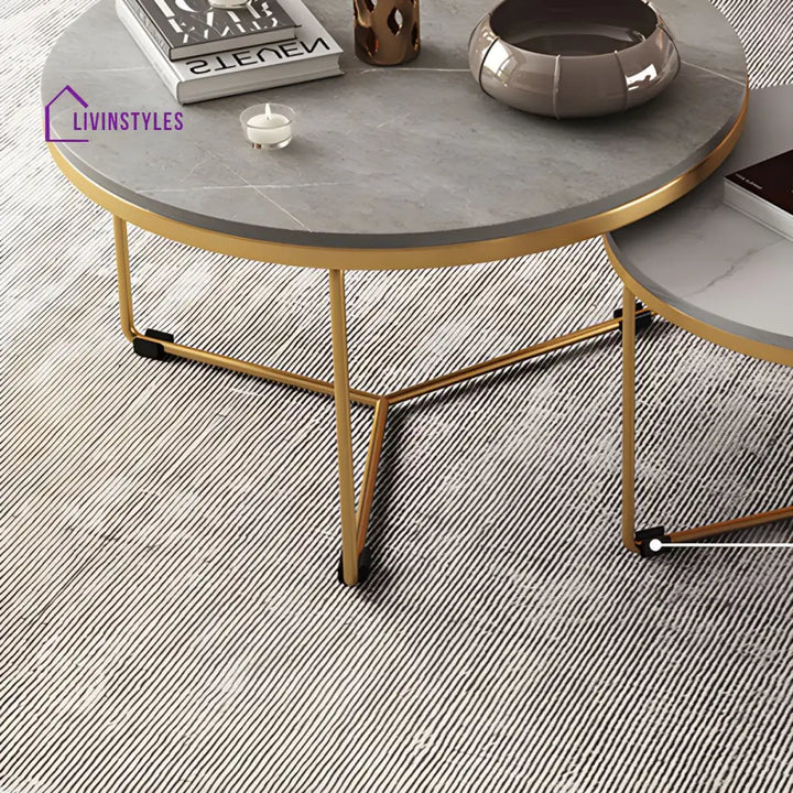 Hriday Stainless Steel Frame Coffee Table for Living Room