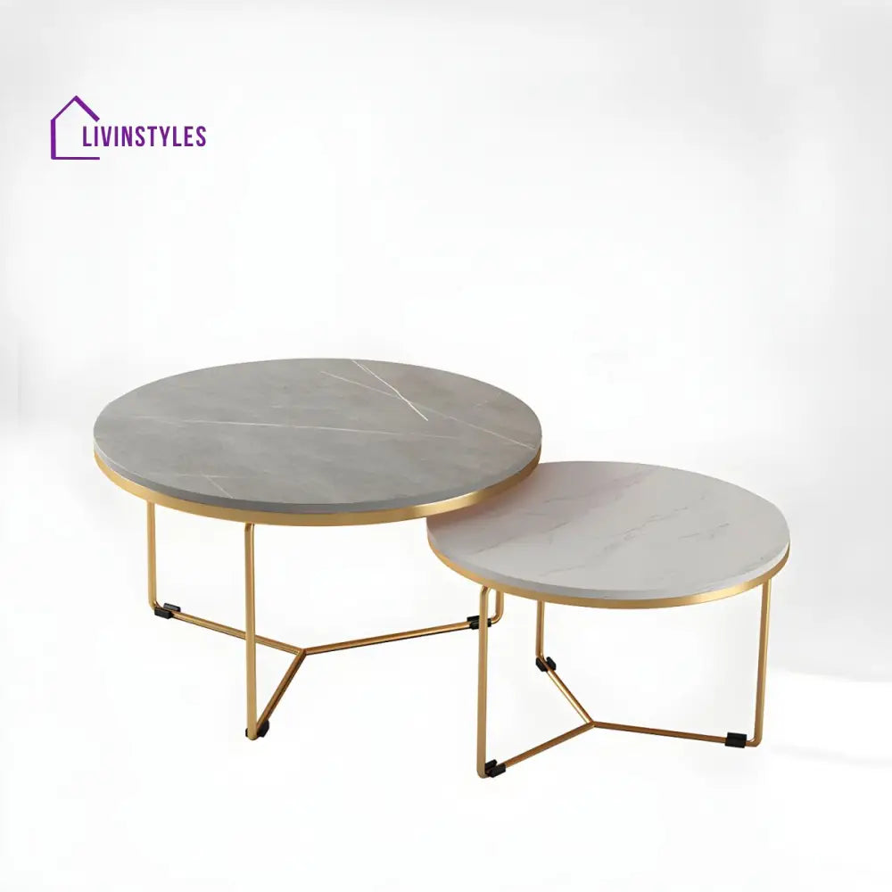 Hriday Stainless Steel Frame Coffee Table for Living Room