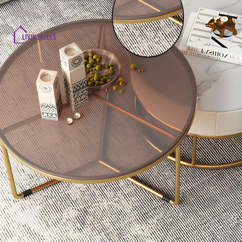 Hriday Stainless Steel Frame Coffee Table for Living Room