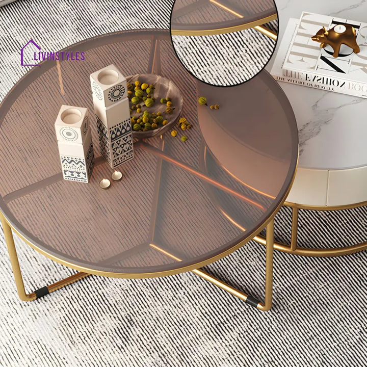Hriday Stainless Steel Frame Coffee Table for Living Room