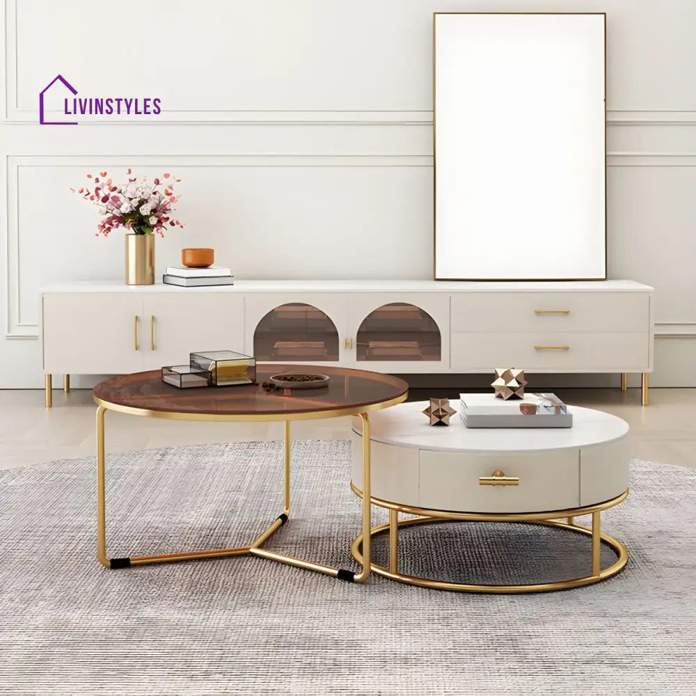 Hriday Stainless Steel Frame Coffee Table for Living Room
