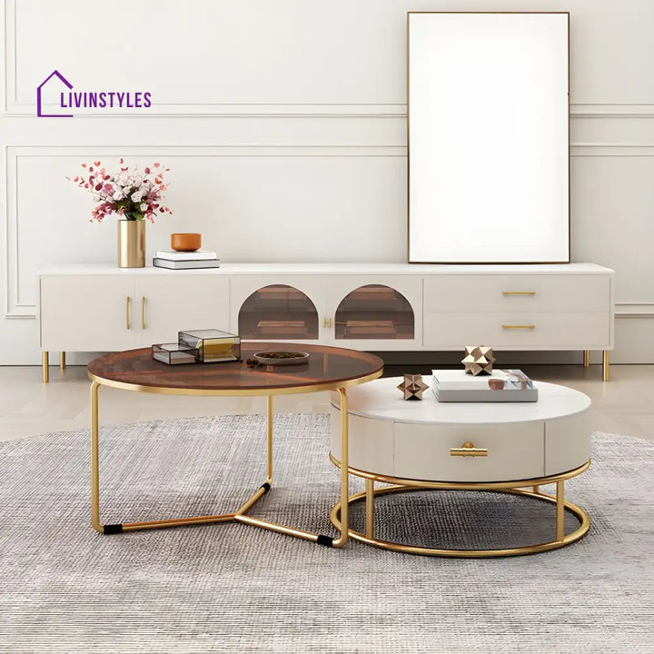 Hriday Stainless Steel Frame Coffee Table for Living Room