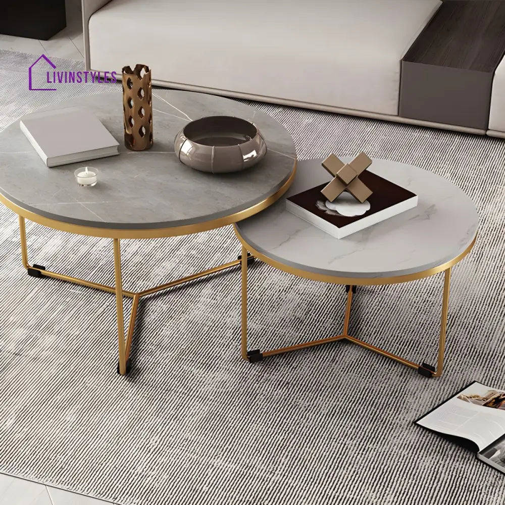 Hriday Stainless Steel Frame Coffee Table for Living Room