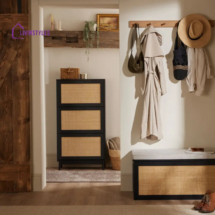 Hugo Mango Wood Shoe Cabinet - Black - Storage Unit