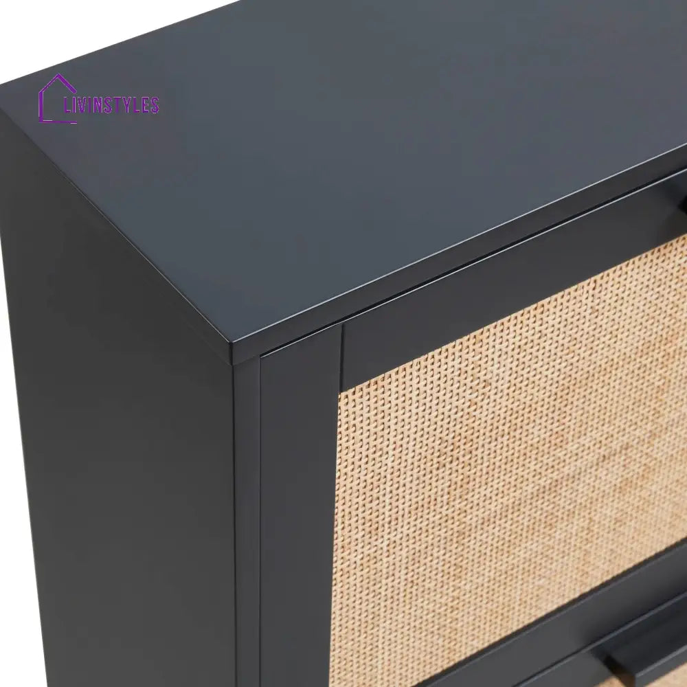 Hugo Mango Wood Shoe Cabinet - Black - Storage Unit