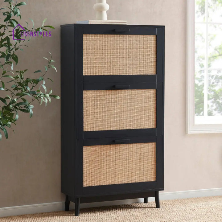 Hugo Mango Wood Shoe Cabinet - Black - Storage Unit