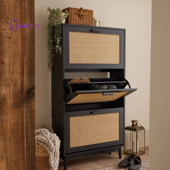 Hugo Mango Wood Shoe Cabinet - Black - Storage Unit