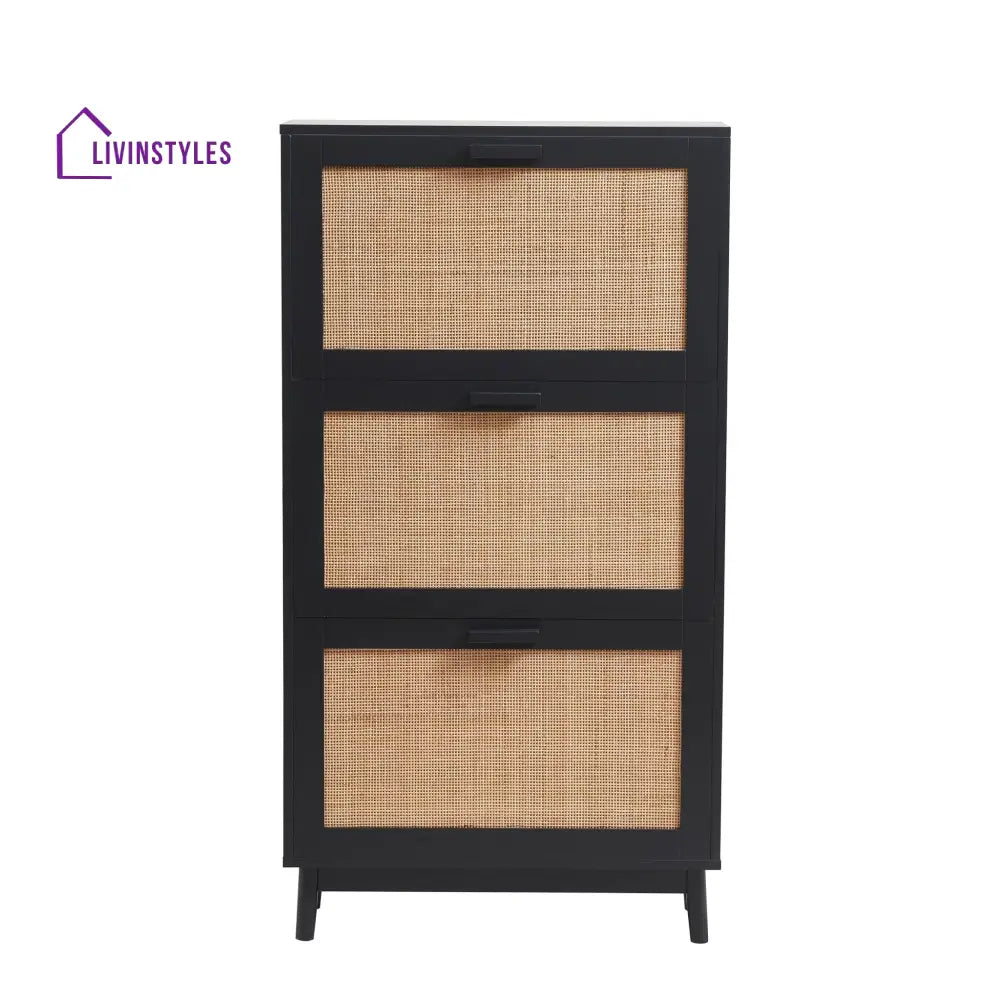 Hugo Mango Wood Shoe Cabinet - Black - Storage Unit