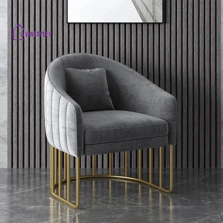 Irisha Living Room Chair | Metal Frame