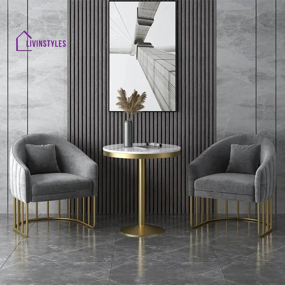 Irisha Living Room Chair | Metal Frame