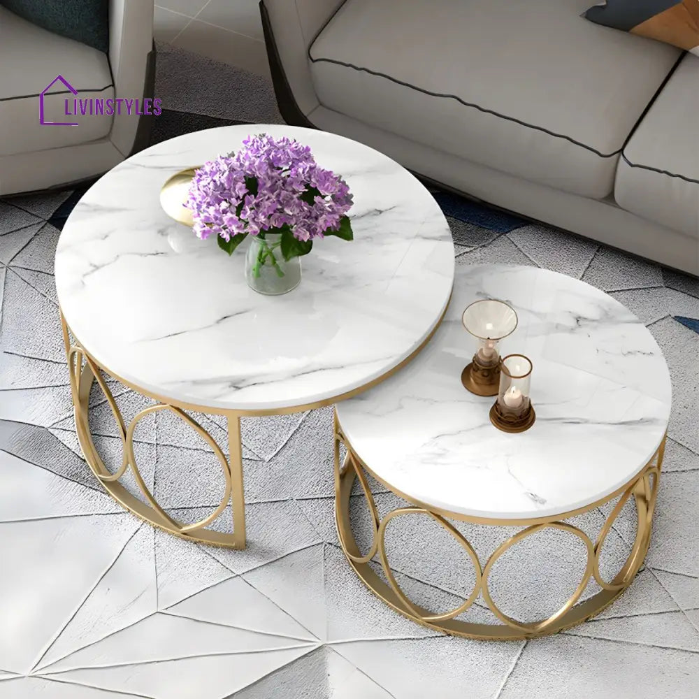 Ishaan Stainless Steel Coffee Table for Living Room