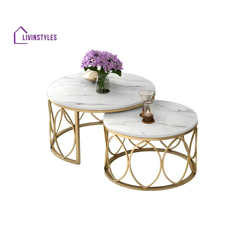 Ishaan Stainless Steel Coffee Table for Living Room