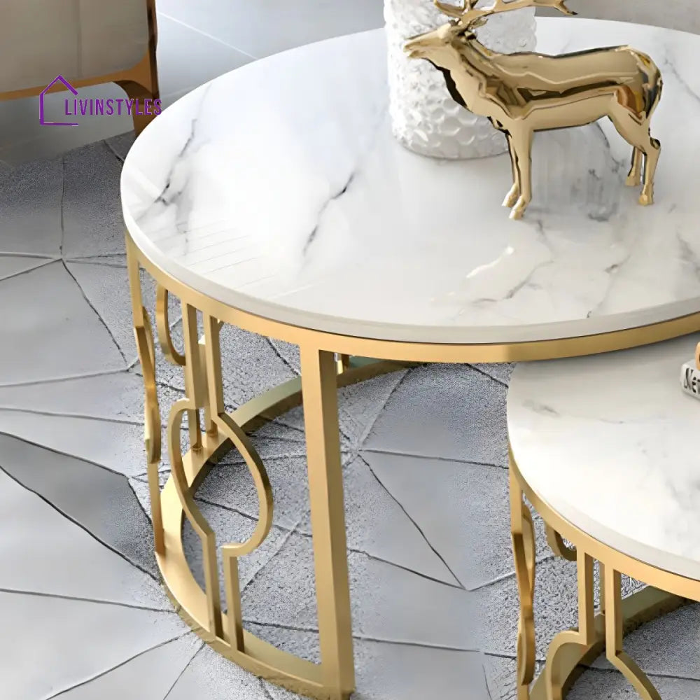 Ishaan Stainless Steel Coffee Table for Living Room