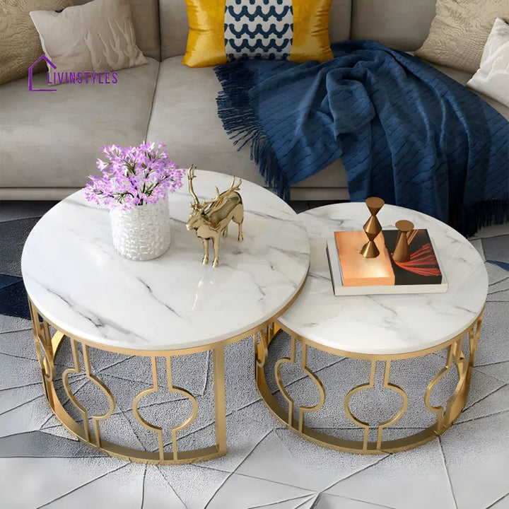 Ishaan Stainless Steel Coffee Table for Living Room