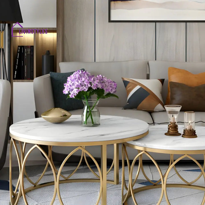 Ishaan Stainless Steel Coffee Table for Living Room