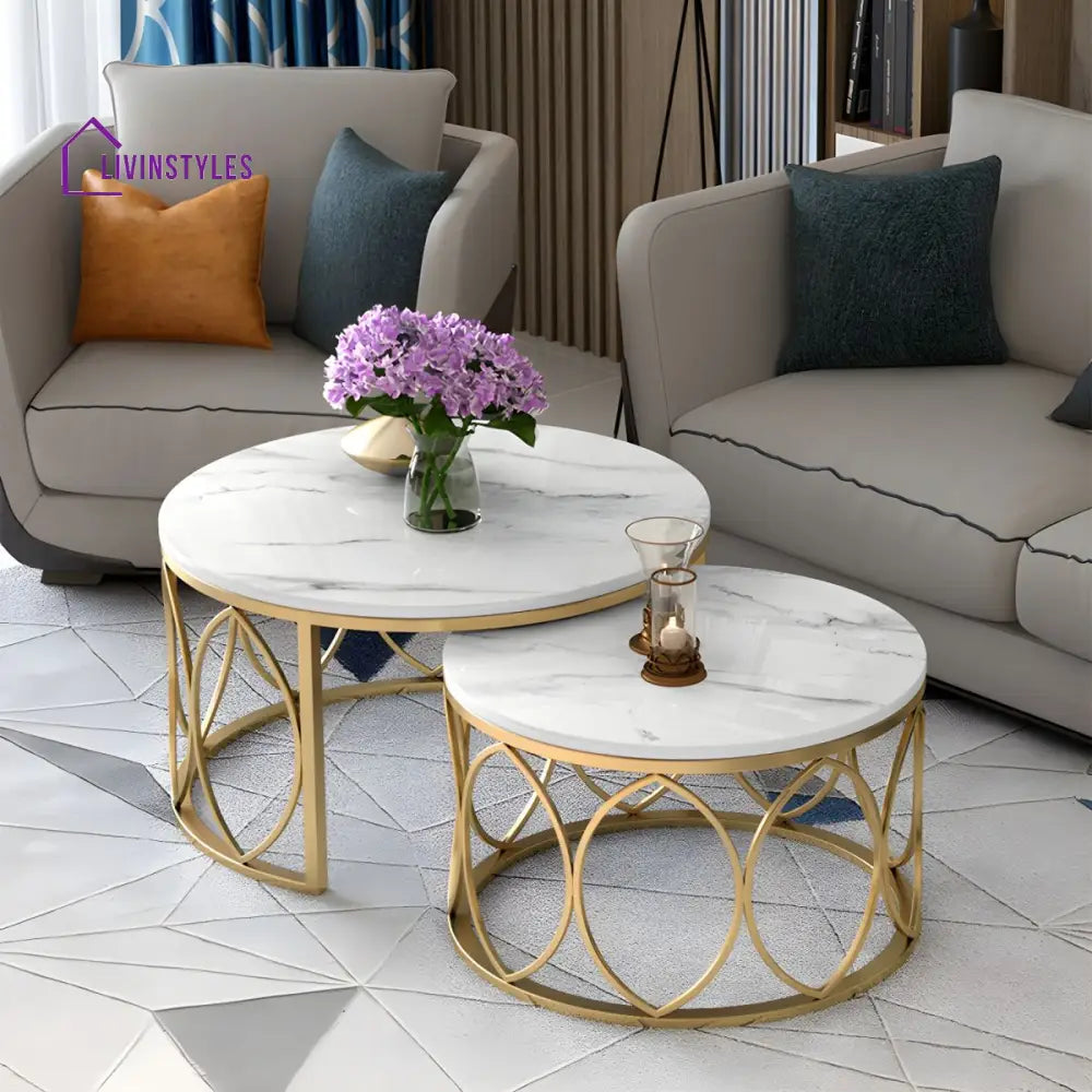 Ishaan Stainless Steel Coffee Table for Living Room