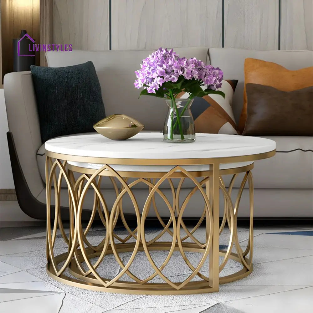 Ishaan Stainless Steel Coffee Table for Living Room
