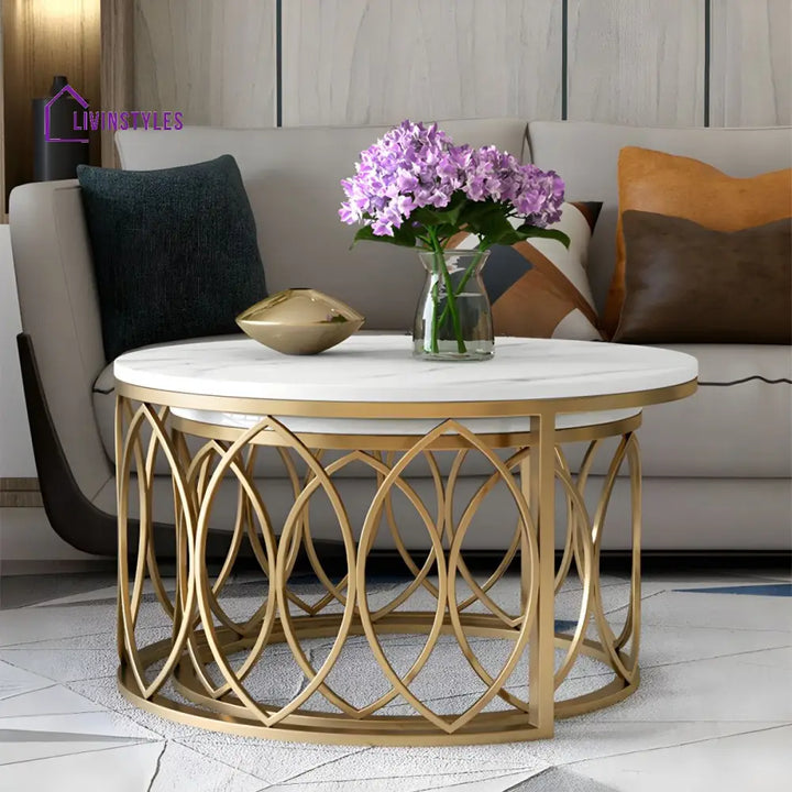 Ishaan Stainless Steel Coffee Table for Living Room