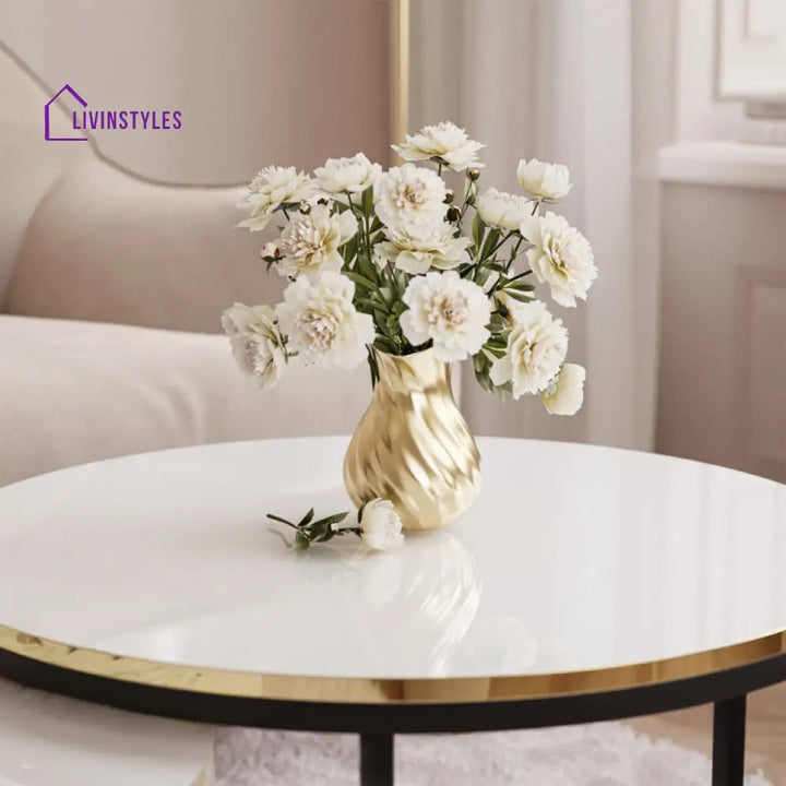 Ishita Stainless Steel Coffee Table Set Of 2