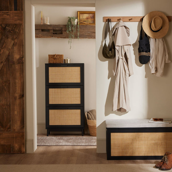 Hugo Mango Wood Shoe Cabinet - Black