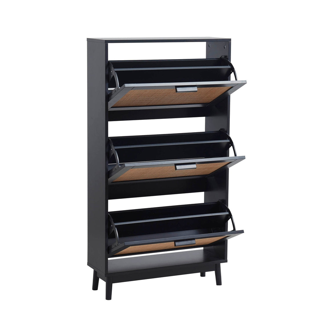 Hugo Mango Wood Shoe Cabinet - Black