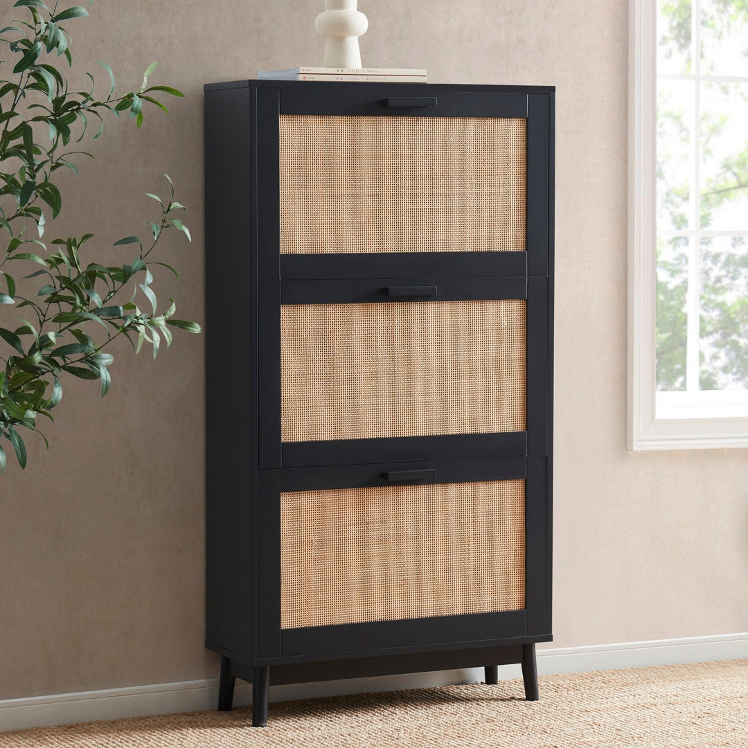 Hugo Mango Wood Shoe Cabinet - Black