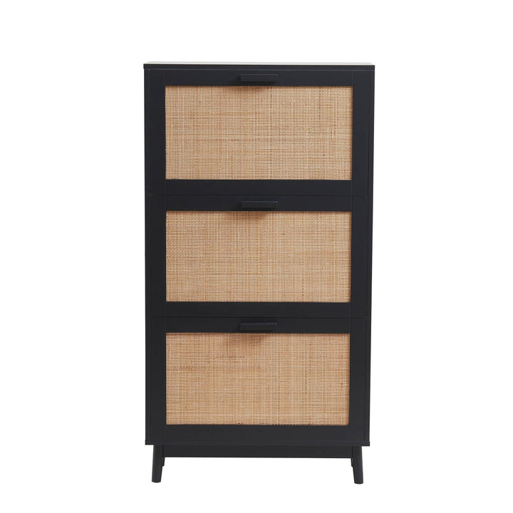 Hugo Mango Wood Shoe Cabinet - Black