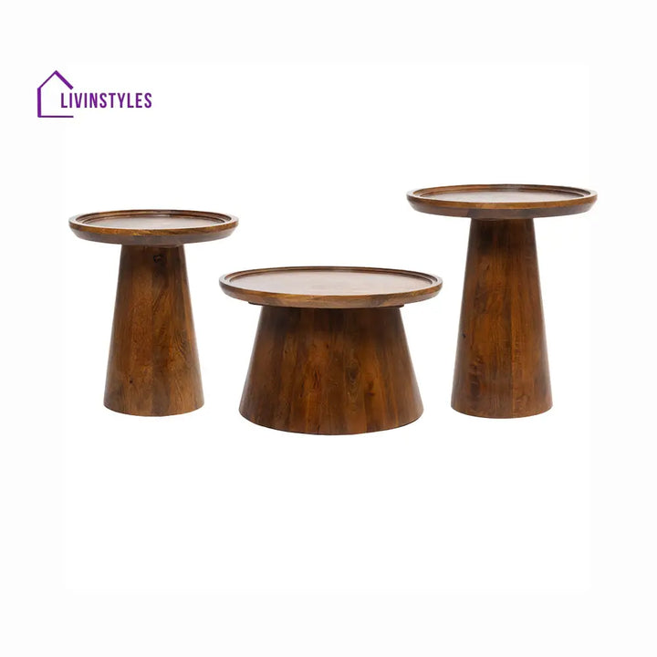 Ivan Mango Wood Coffee Table Set of 3