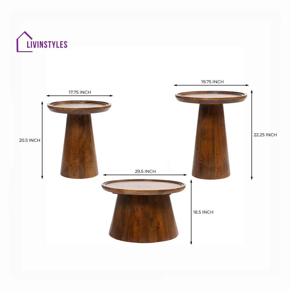 Ivan Mango Wood Coffee Table Set of 3