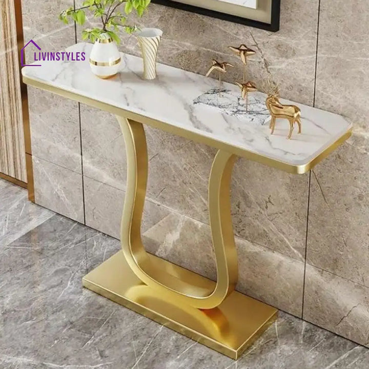 Ivan Stainless Steel Console Table for Living Room