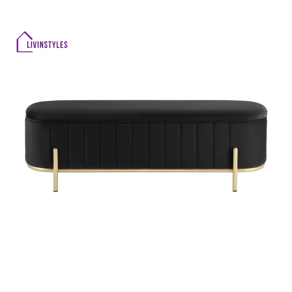 Jacinto Panelled Storage Ottoman - Black End of Bed Ottomans