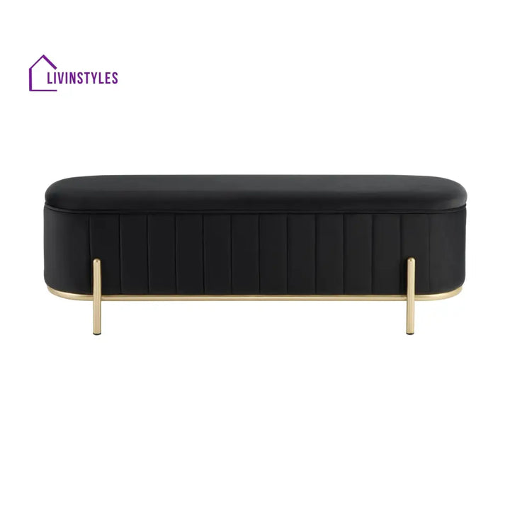 Jacinto Panelled Storage Ottoman - Black End of Bed Ottomans