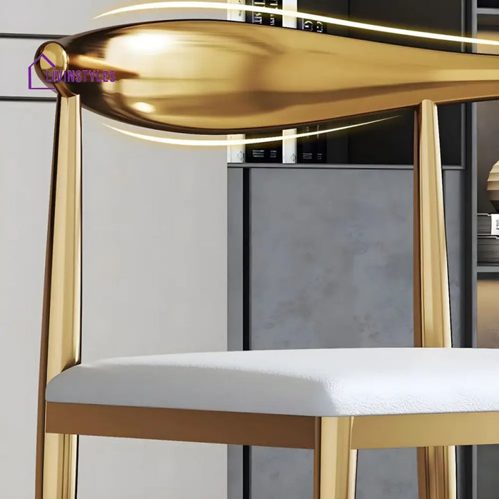 Janisha Stainless Steel Dining Chair