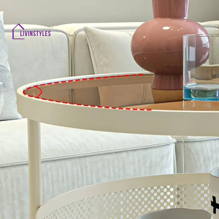 Janya Stainless Steel Frame Coffee Table for Living Room